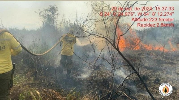 Incêndio no Parque de Ilha Grande já atingiu 230 hectares em Guaíra e Altônia