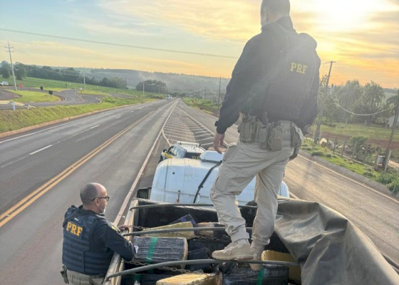 PRF apreende mais de cinco toneladas de maconha em Marechal Cândido Rondon