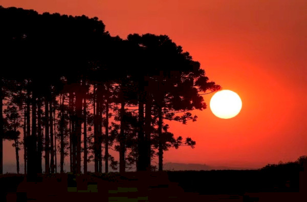 Após dias intensos de chuva, veja a volta dos dias de sol nas principais cidades do Paraná