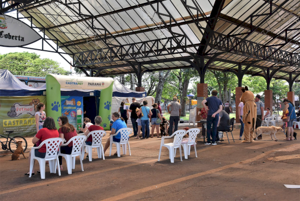 Quatro Pontes recebe o Programa CastraPet em novembro; inscrições começam dia 14 deste mês