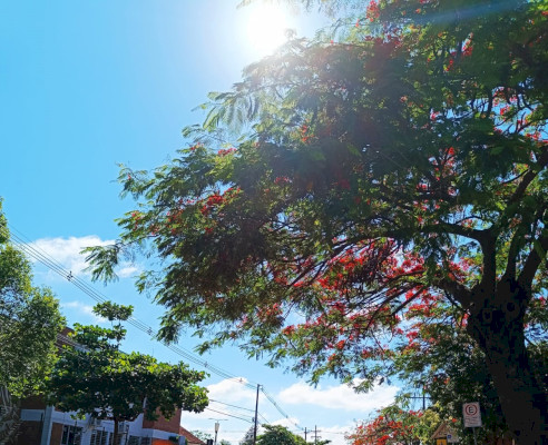 Marechal Rondon terá domingo sem chuva e com máxima de 27C; veja previsão da semana