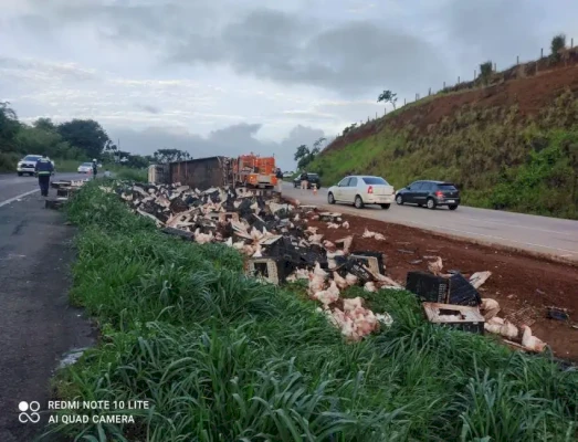 Caminhão tomba na região oeste e deixa galinhas espalhadas pela BR-163