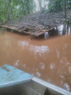 Rio Guaçu transborda e deixa quiosque submerso em sítio de Novo Sarandi  Toledo