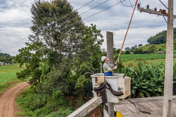 No Paraná, população que vive no campo conta com 20 mil km de novas redes elétricas