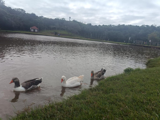 Municípios do Oeste terão domingo de calor e tempo abafado