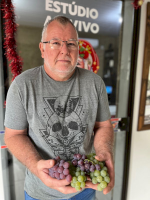 Quatro Pontes: A Doce Experiência de Colher Uvas no Pé, na Propriedade Maltauro